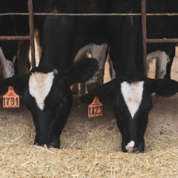 Global Deal Providing Sustainability Solutions to Farmers