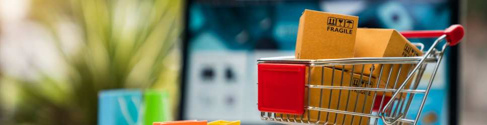 image of shopping cart with laptop for Consumer rights in the digital age header
