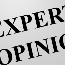Papers which are titles Expert Opinion