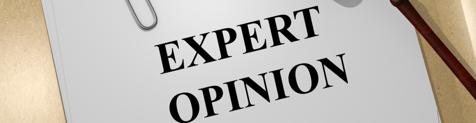 Papers which are titles Expert Opinion