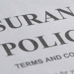 Insurance Policy Terms and Conditions as a web header