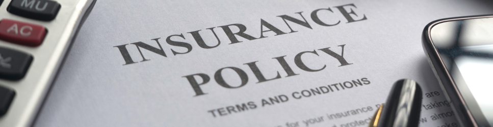 Insurance Policy Terms and Conditions as a web header