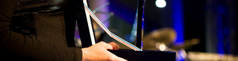 Image of a corporate awards ceremony