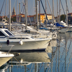 Image of boats in a marina for article header image