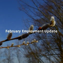 February Employment update