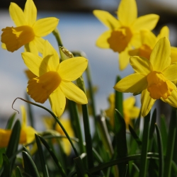 March Employment & HR update