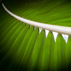 Growth strategies for business leaders