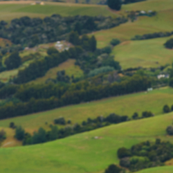 Landscape image of Hills with a sheep for ehader image