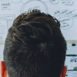 Image of a person inspecting a ideas board for article web header