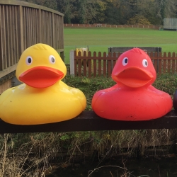 We’ve gone ‘quackers’ raising money for Nightingale House Hospice!