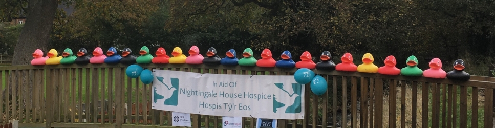 Nightingale House Hospice Ducks