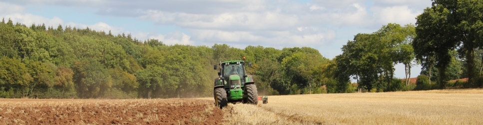 Ploughing Match