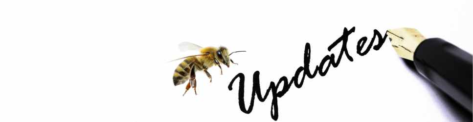 Bee Employment Law Update Design