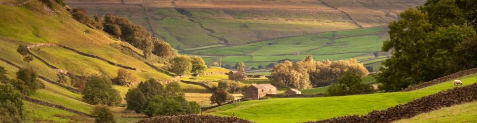 Image of UK Farm for Agricultural Succession Tenancies