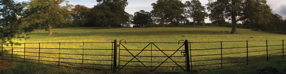 Image of a Country Estate - Understanding Trusts Article