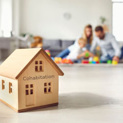 Cohabitation Agreements