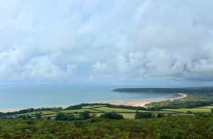Gower Coast Charity Walk View