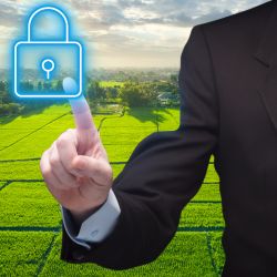 Modifying Restrictive Covenants to Unlock Land for Development: Beeches Capital v Hunt