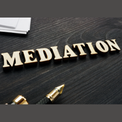 A GUIDE TO MEDIATION