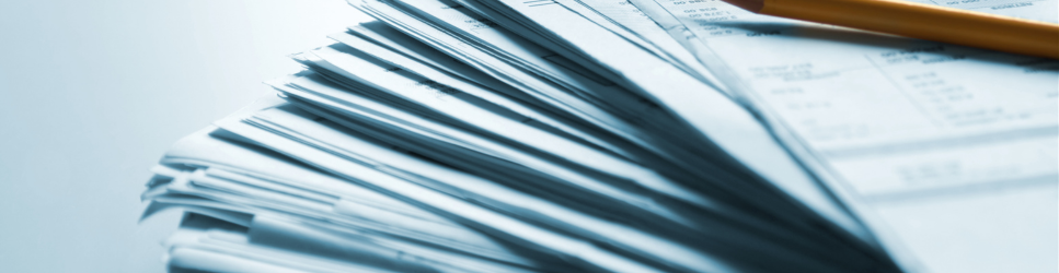 Policy Papers for Policy Preparation and Operational Support Header