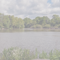 Photo of Christleton Duck Pond