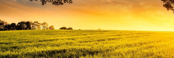 BPS changes and impact on IHT