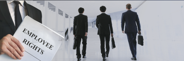 Employment Rights Act Header Image