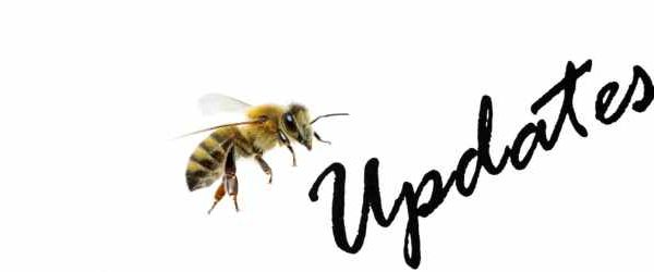 Bee Employment Law Update Design