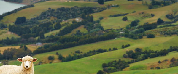 Changing Landscape Blog Header Image 2025 04 11T114342.724