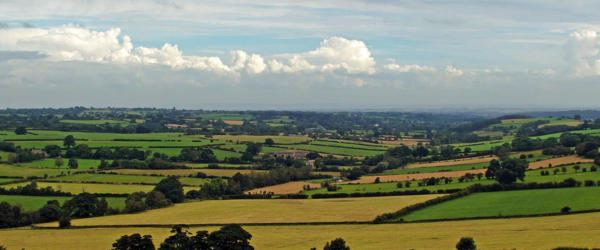 Cheshire Show Blog Header Image 2025 04 11T123803.885