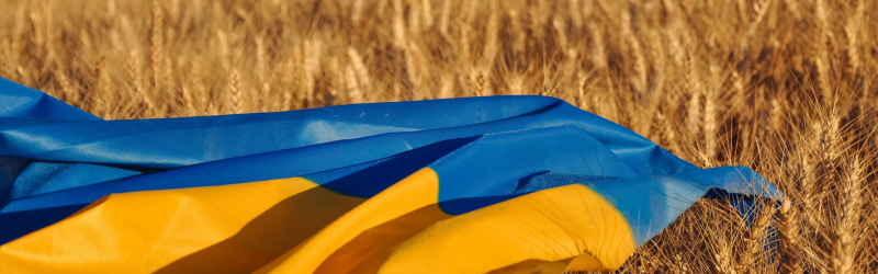 Ukraine Aid Blog Header Image 2025 04 11T150920.725