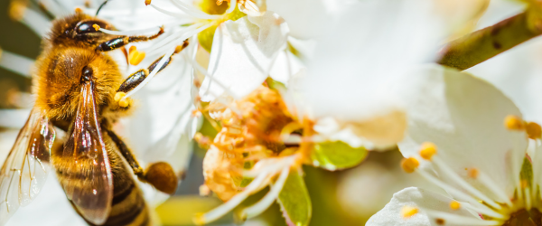 Employment law update April 25 Blog Header Image 2025 04 11T152121.048