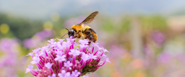 Employment update April 2025 Blog Header Image 2025 04 11T152714.613
