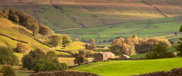 Agricultural Succession Tenancies Blog Header Image (47)