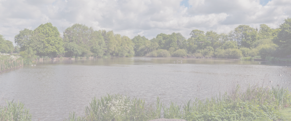 Volunteer Spotlight, Ed Barnes – Helping Pupils Thrive in Christleton