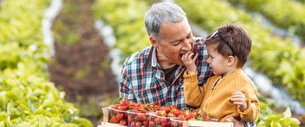 Divorce and the Family Farm
