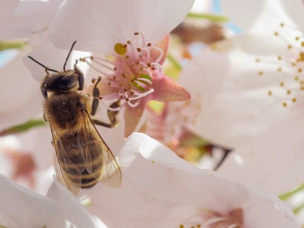 Spring Employment Law Briefing