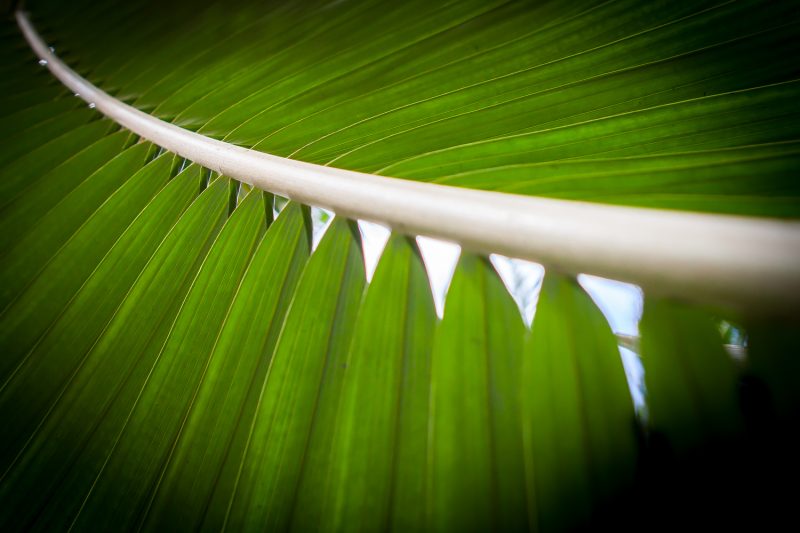 Growth strategies for business leaders.