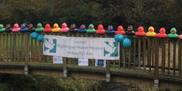 ducks on bridge 6