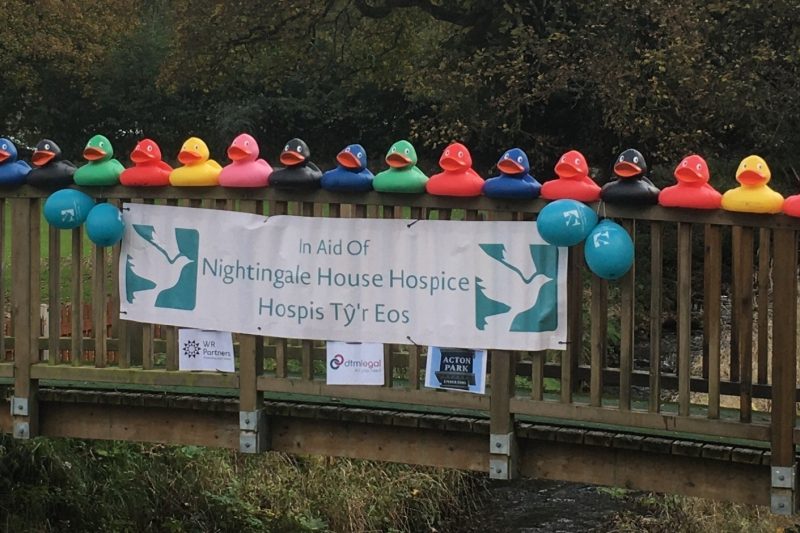 ducks on bridge 6